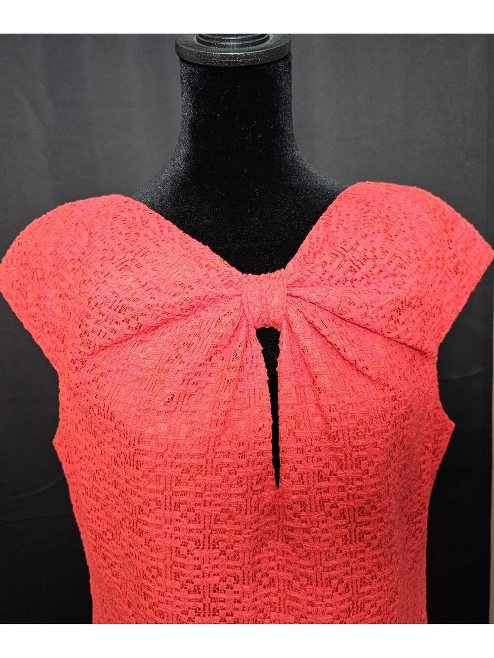 Pamella Roland Dress Pink Womens Size 14